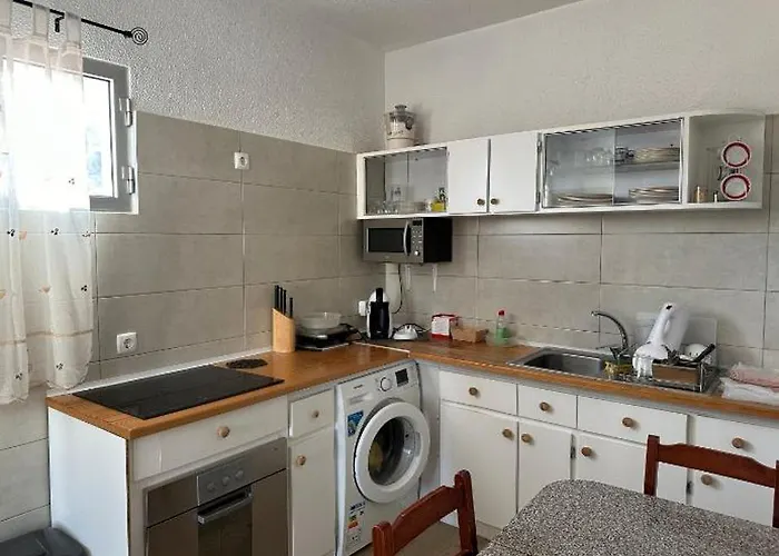 House Dino & Telma * マシコ